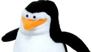Skipper meme 1