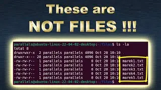 Linux inode table, hardlink, softlink, directory and file system explained