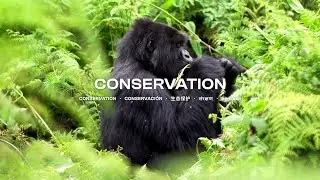4/11 Conservation (iGEM 2023 Grand Jamboree)