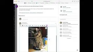 How to add an image to a Discussion Board in Blackboard Ultra