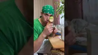 Как вырастить грушевый вазон?