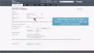 Plesk: How to Set Up a Database