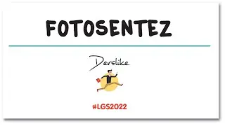 Enerji Dönüşümleri | Fotosentez | LGS Fen Bilimleri