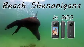 360 Adventures: Beach Shenanigans (@ Miller's Point, South Africa)