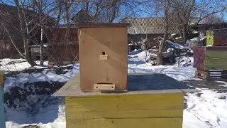 ХОТИТЕ ЗАВЕСТИ ПЧЕЛ, НО НЕТ ДЕНЕГ ВАМ СЮДА!!!