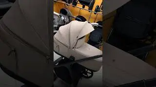 Carrello Vector 2025 