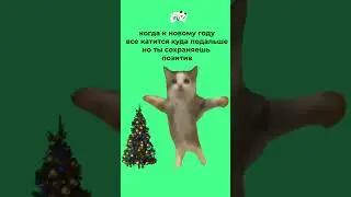 Когда к Новому Году все катится куда подальше, но ты не отчаиваешься
