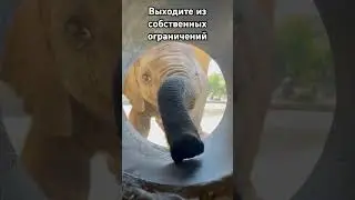 #исцеление