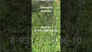 своими руками 