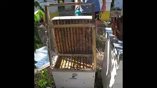 You can blow out bees in your underpants)