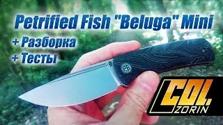 Petrified Fish Beluga Mini PFP01X, 14C28N. + Разборка +тесты