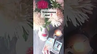 УСПОКОИЛСЯ ВРАГ❓#таро #shorts #магия #video #reels #tarot #приворот Расклад Онлайн Таро