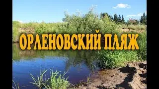 Корова и Комельский пляж, музыка, клип Алексей Матис