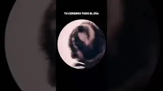 PEDRO PEDRO PEDRO 🕺💃  