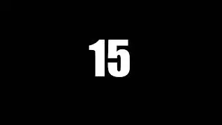 number 15