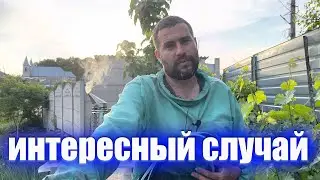 пчеловодческая практика 1