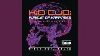 Pursuit Of Happiness (Extended Steve Aoki Remix)