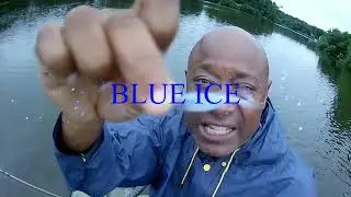 💥💥Cam's Crappie Hole   VERTICAL JIGGING WITH MY HOTTEST NEW COLOR BLUE ICE CAM'S STINGER SHAD💥💥