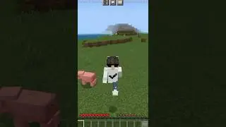 MINECRAFT TAPI,  GW GAK BISA MELIHAT WARNAH PINK #shorts #minecraft #minecraftpe