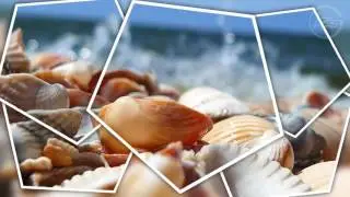 Стили для ProShow Producer   Multi Frames