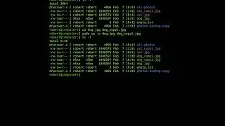 The 'cp' Command In Linux