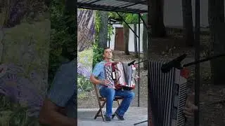Матушка земля на баяне#shorts