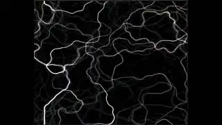 Physarum  Simulation Test 01