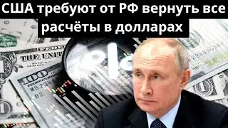 Российский ответ на санкции: почему активы западных компаний остались в России