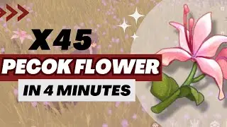 【Wuthering Waves】Pecok Flower Locations & Farming Route