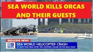 Sea World Helicopters Crash - Not Only Does Sea World Kill Orcas They Kill Their Guest - #BlackFish