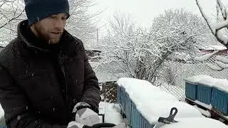 Чи вижила слабка сім'я після великих морозів ! І що роблю у цей відповідальний період зимівлі !