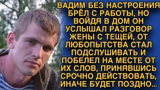 Подслушал разговор жены с тёщей и бросился действовать пока не поздно...