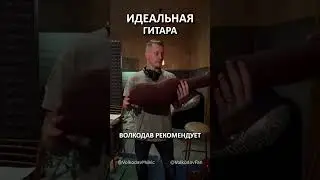 Идеальная гитара🎸 Александр Волкодав - советы от души, рекомендации от сердца 🙌❤️ #александрволкодав