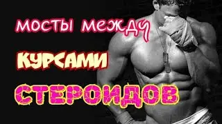 Мосты между курсами анаболических стероидов