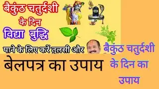 बैकुंठ चतुर्दशी के दिन #विद्या बुद्धि प्राप्ति के लिए करे #तुलसी बेलपत्र का #उपाय