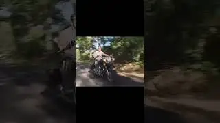 Гачи Фортнайт 
