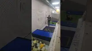 я хочу чтоб ты сказала 
