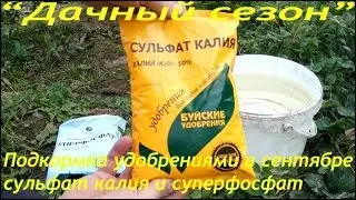 Подкормка удобрениями в сентябре сульфат калия и суперфосфат