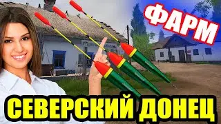 Фармовый КЛЕВ на Шемае Черноморской ● Русская Рыбалка 4 | РР4