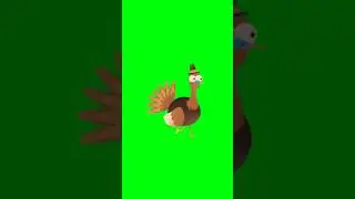 Bird walking Green Screen 