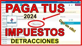 COMO PAGAR TUS IMPUESTOS DE FORMA RAPIDA Y SENCILLA - SUNAT 2024