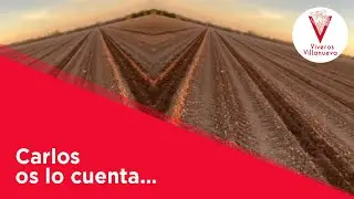 Carlos os lo cuenta…