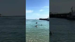 Здесь купаться запрещено, но если очень хочется то можно/ Голубая бухта/Геленджик