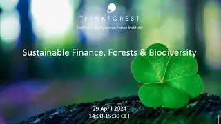 ThinkForest webinar: Sustainable Finance, Forests and Biodiversity