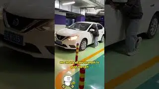 The hidden function of seat belts 