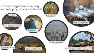 Overview of Alaska Statewide Vegetation Mapping: Terrestrial Ecosystems Meeting October 2023