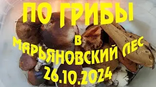 ПО ГРИБЫ в Марьяновский лес (26.10.2024)