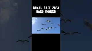 Пивная заправка enduro royal race 2023