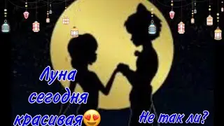 Переписка «Луна сегодня красивая, не так ли?» | Леди Баг и Супер Кот