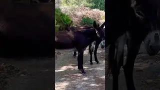 Может долбануть ? 